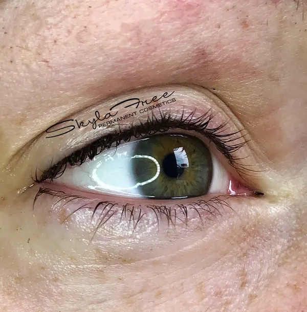 Microblading and permanent cosmetics example 8