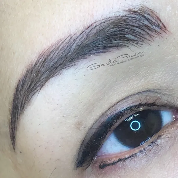 Microblading and permanent cosmetics example 14